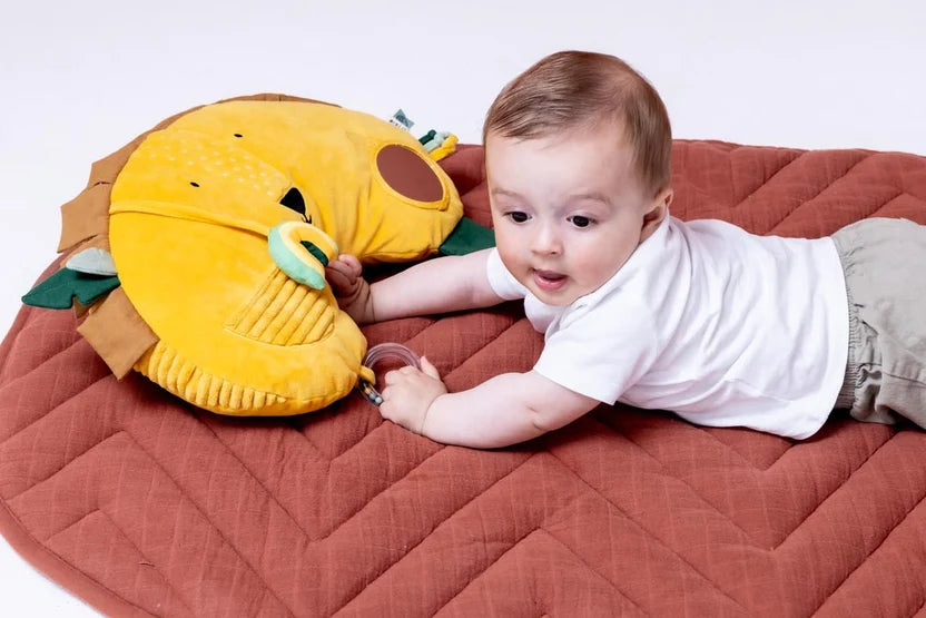 Trixie Tummy Time Pillow