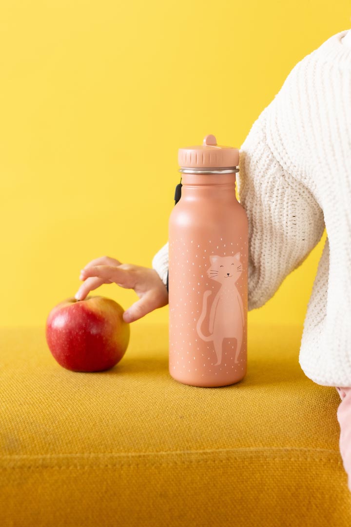 Trixie Water Bottle (500ml)