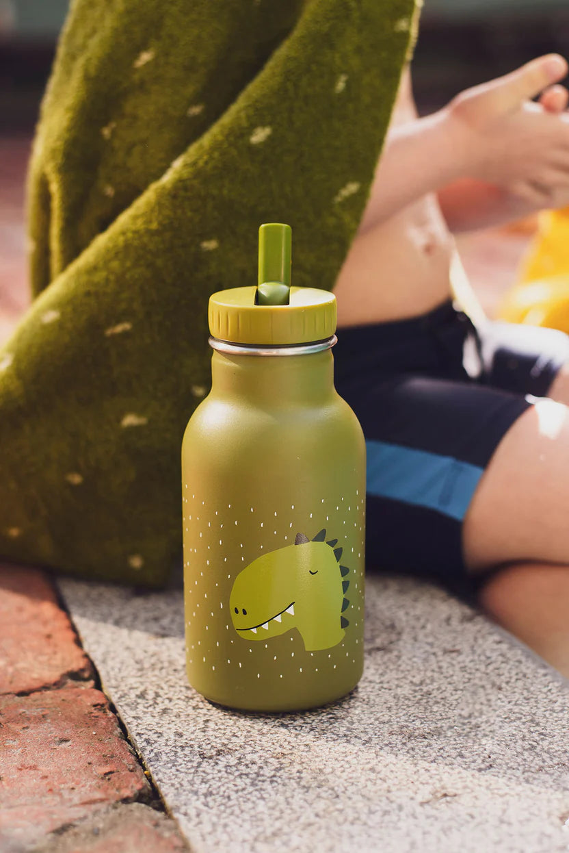 Trixie Water Bottle (350ml)