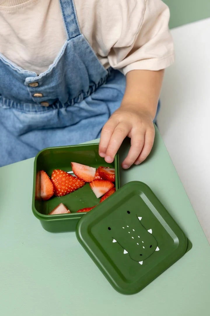 Trixie Snack Box Nesting (3pc)