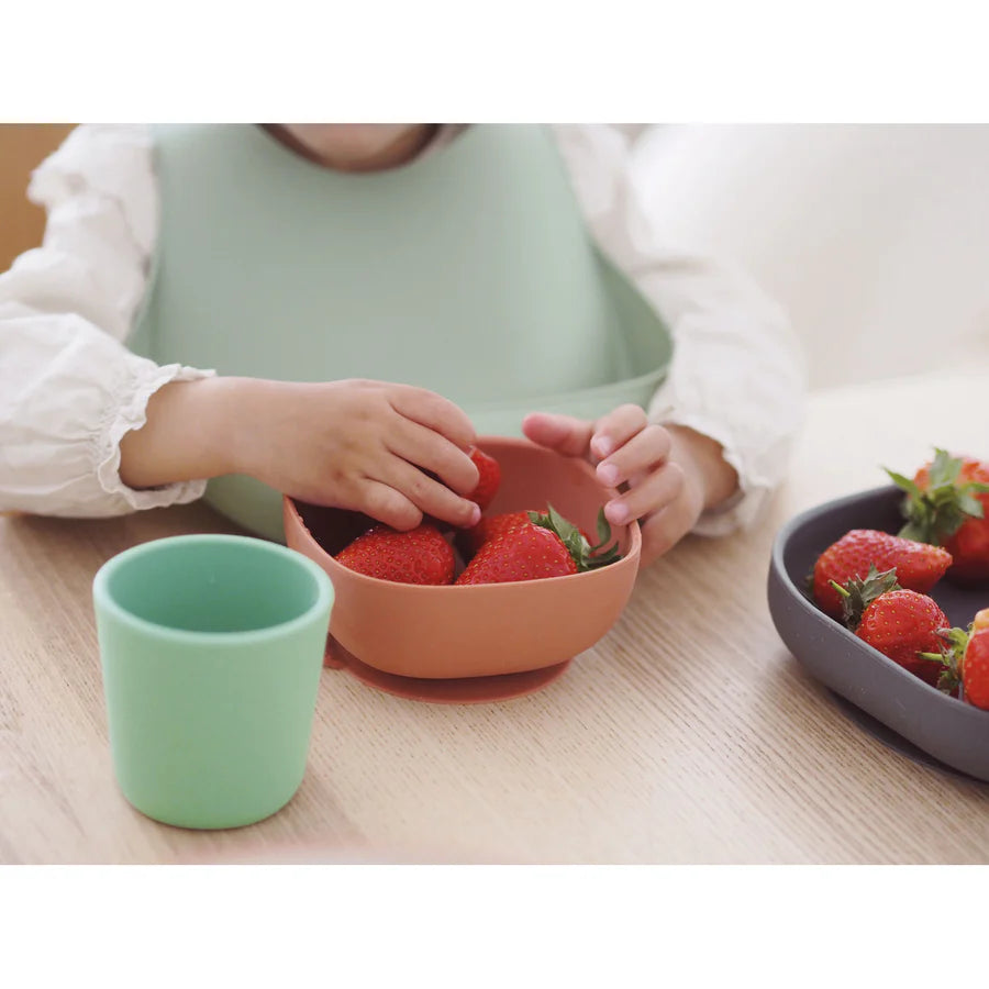 Beaba Silicone Suction Meal Set