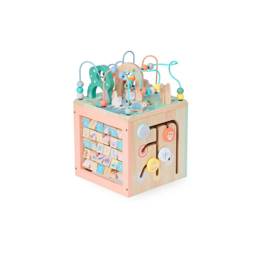 Bubble Wooden Activity Centre