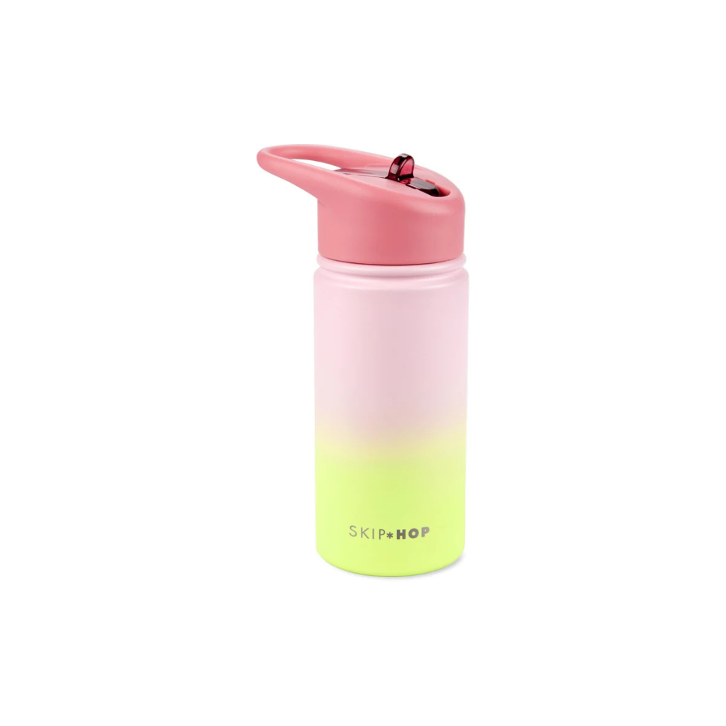 Skip Hop Wander Stainless Steel Water Bottle