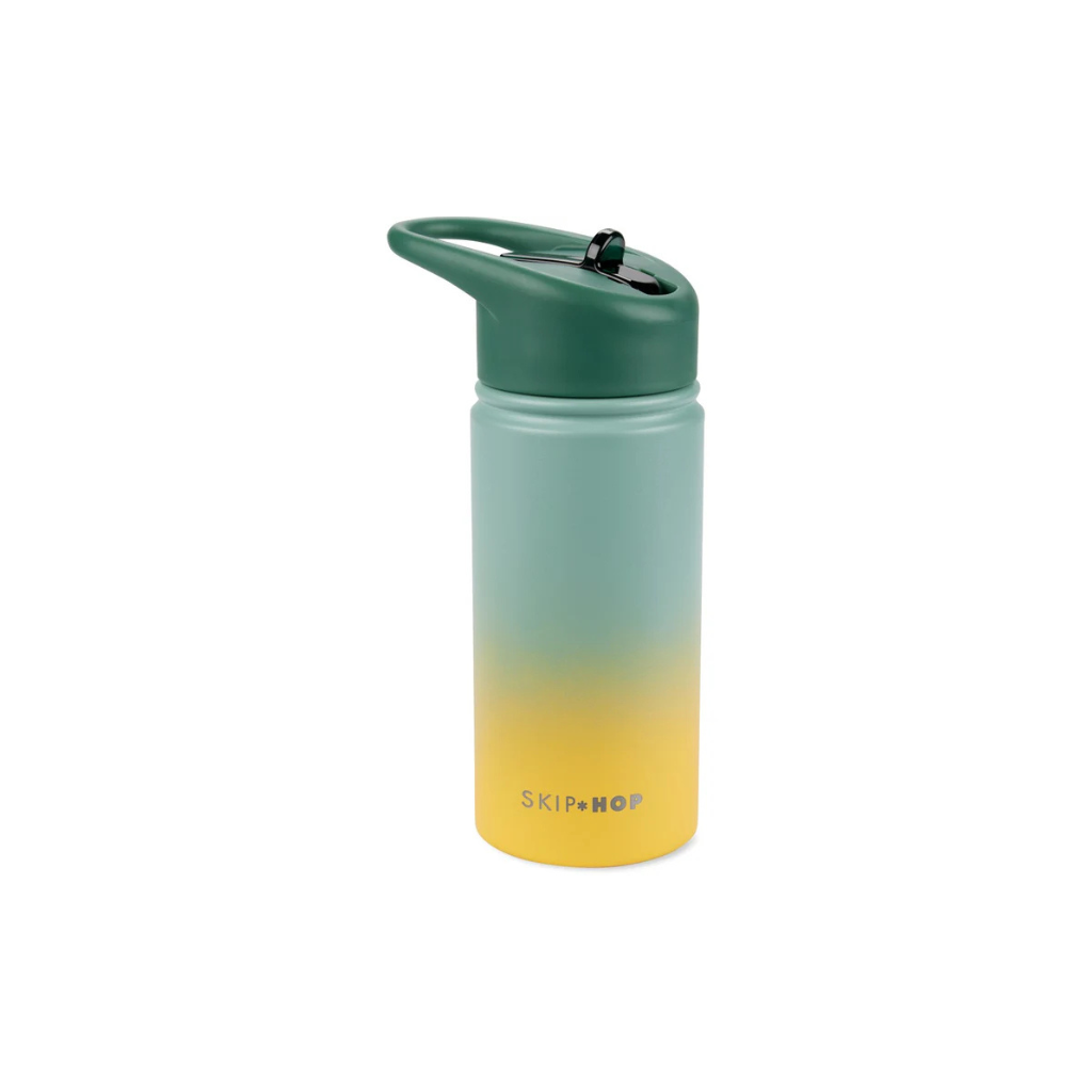 Skip Hop Wander Stainless Steel Water Bottle