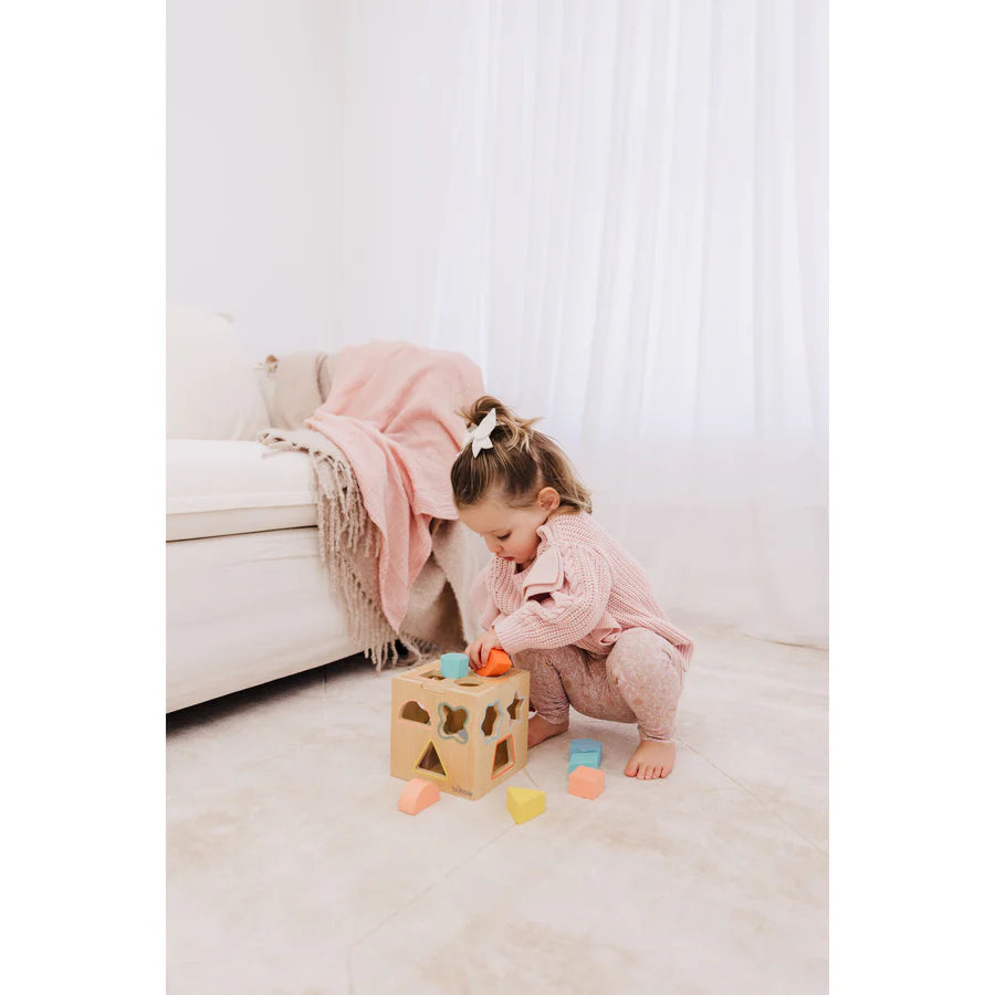 Bubble Wooden Shape Sorting Cube
