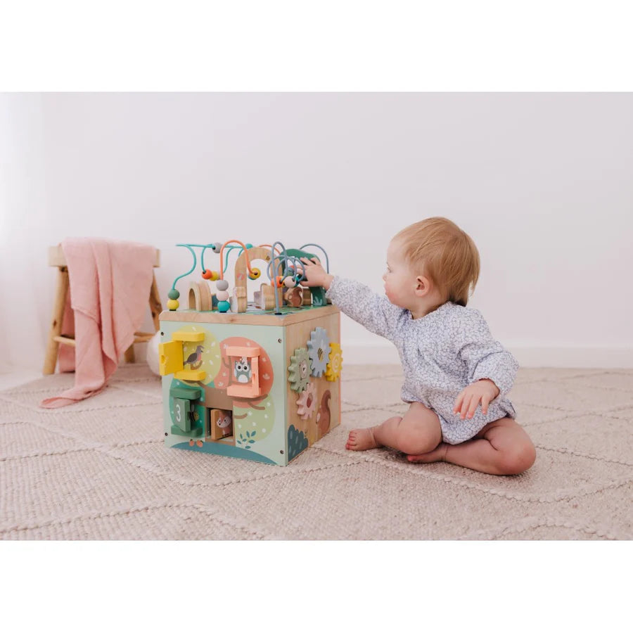 Bubble Wooden Activity Centre