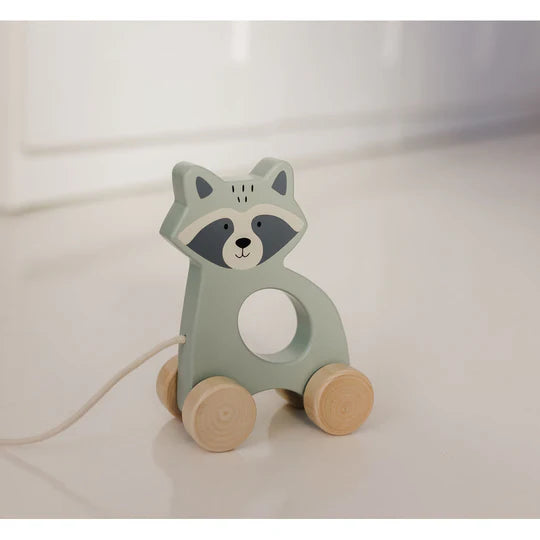 Bubble Wooden Raccoon Pull Along Toy