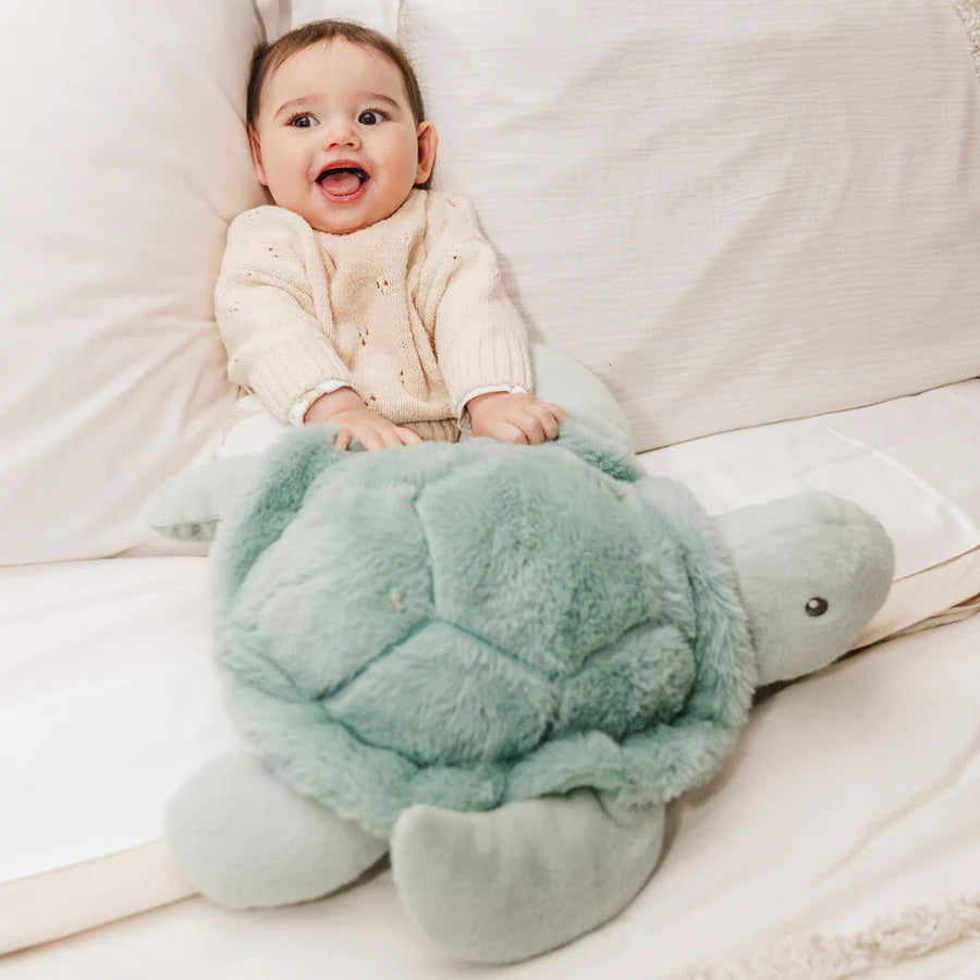 Bubble Plush Turtle
