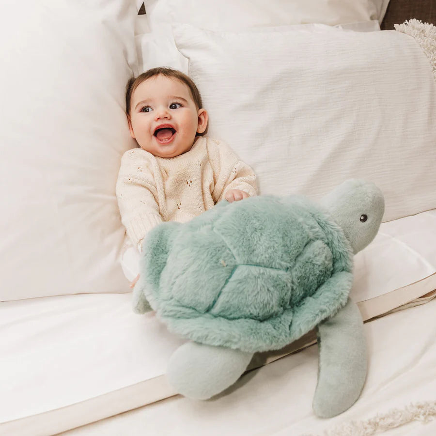 Bubble Plush Turtle