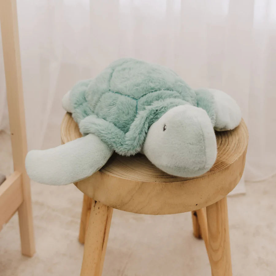 Bubble Plush Turtle