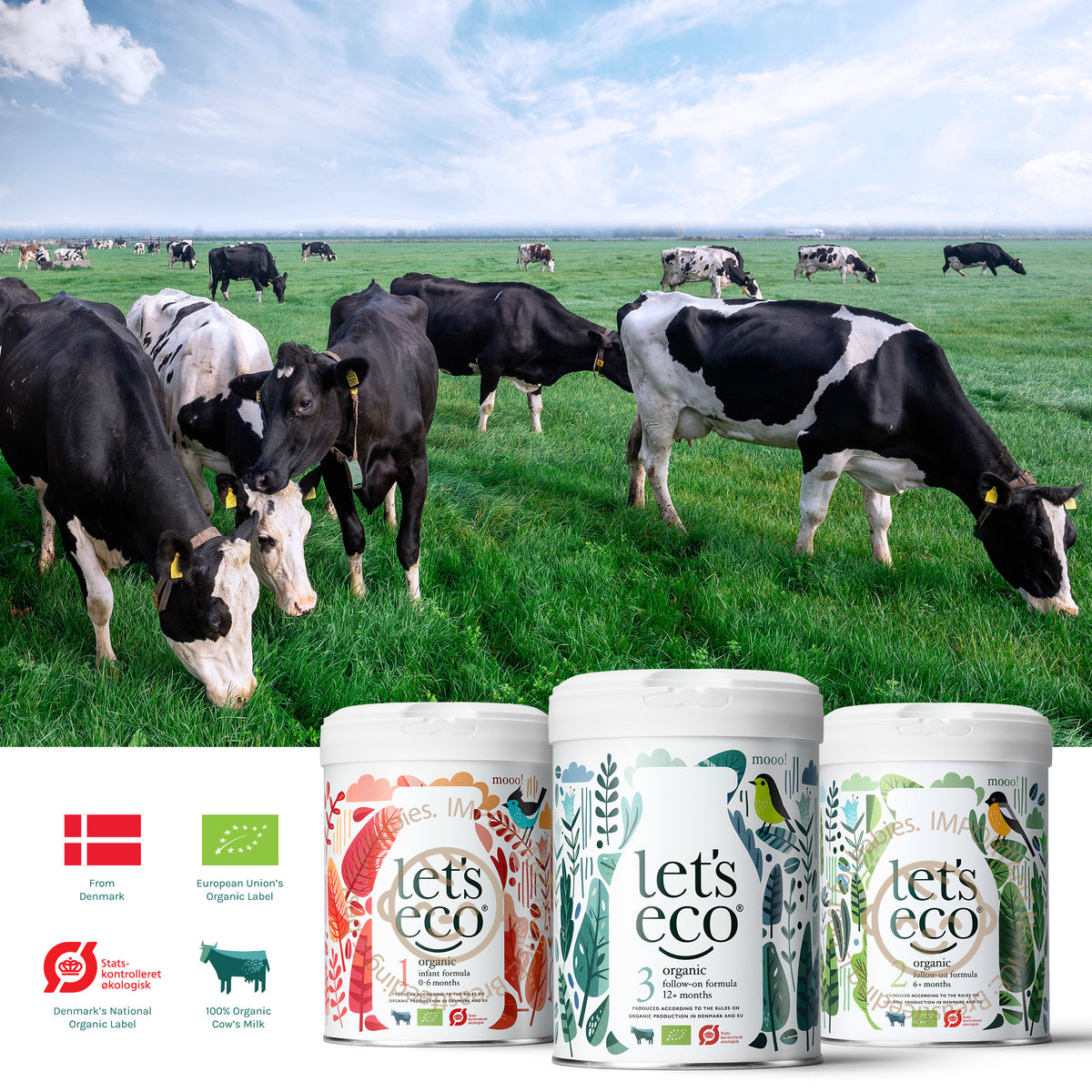Let's Eco Organic Follow-On Milk Formula - Stage 2 (6-12M)