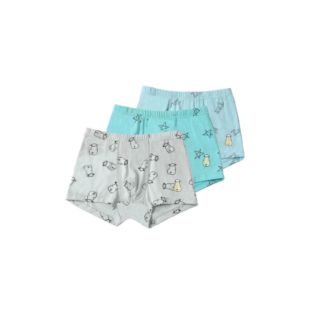 Baa Baa Sheepz Head Boys Boxers (Set of 3)
