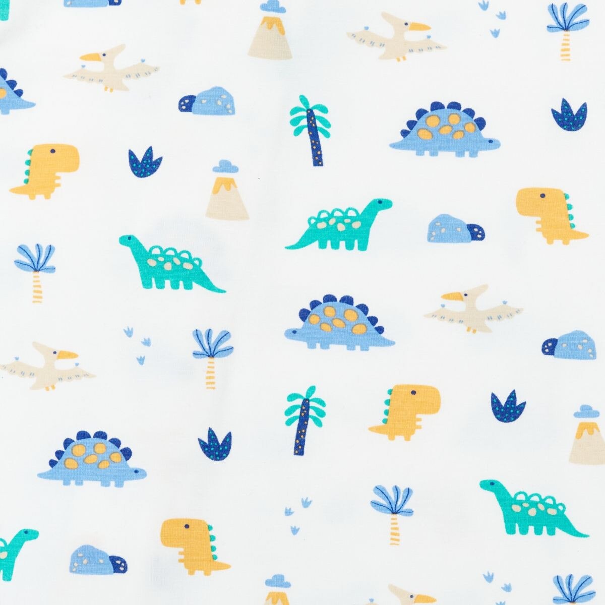 Not Too Big Dino Gifting Set (6 pc)