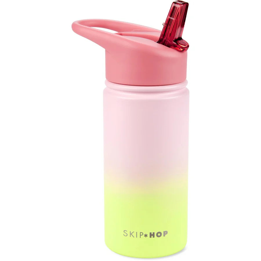 Skip Hop Wander Stainless Steel Water Bottle
