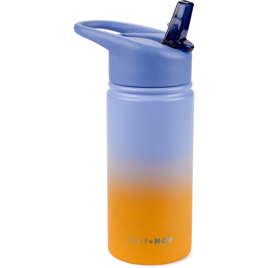Skip Hop Wander Stainless Steel Water Bottle