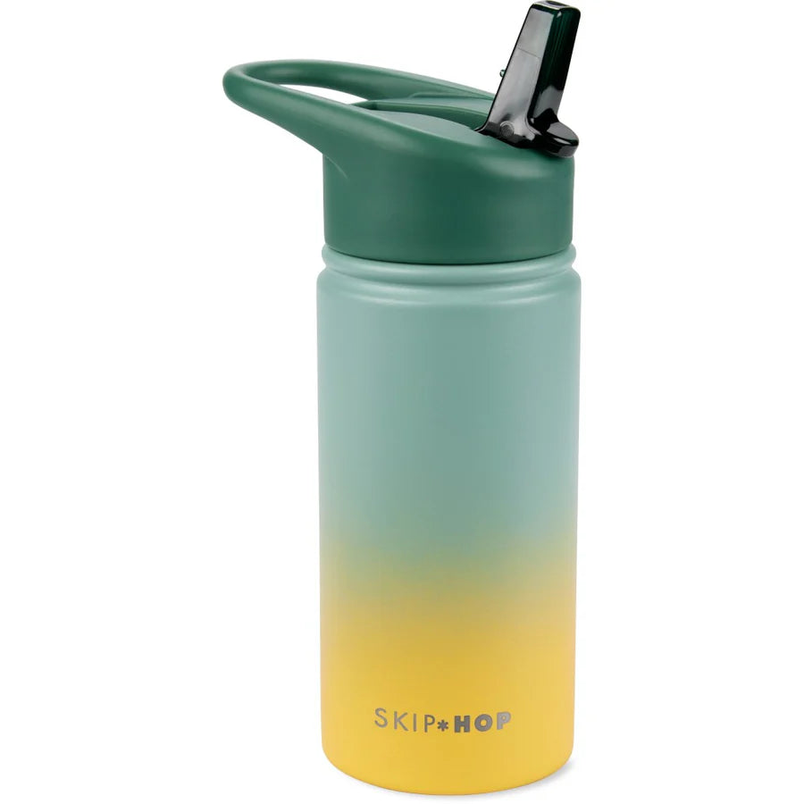 Skip Hop Wander Stainless Steel Water Bottle