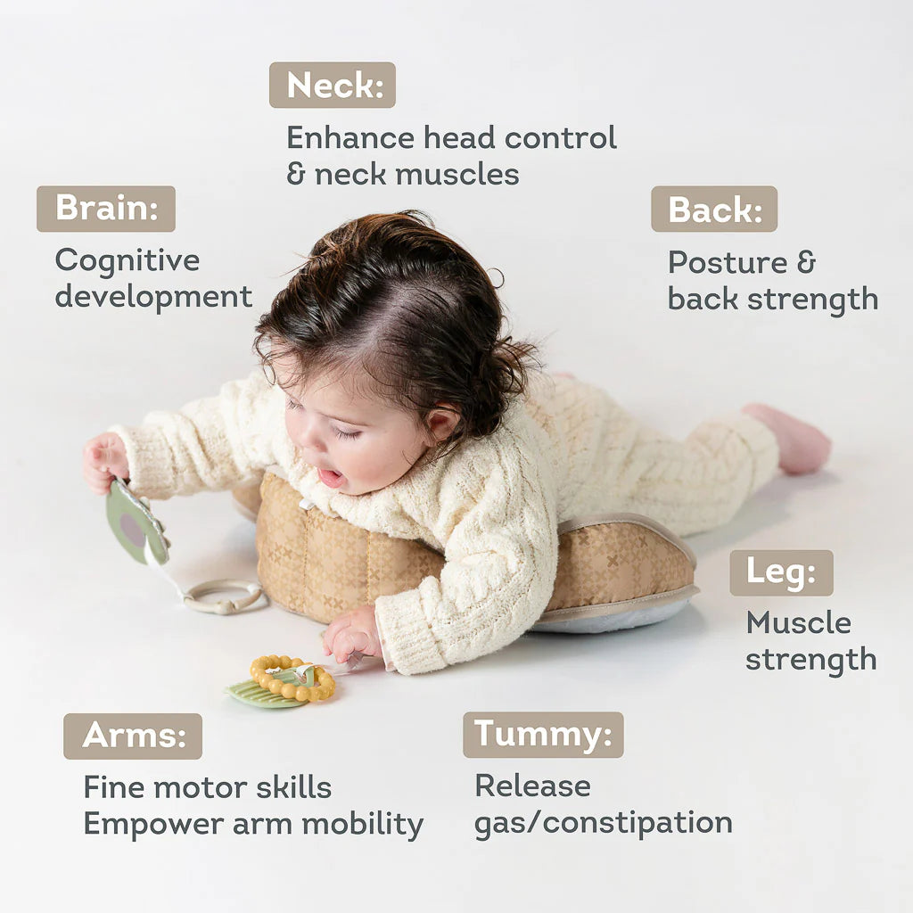 Taf Toys Bear Tummy Time Pillow