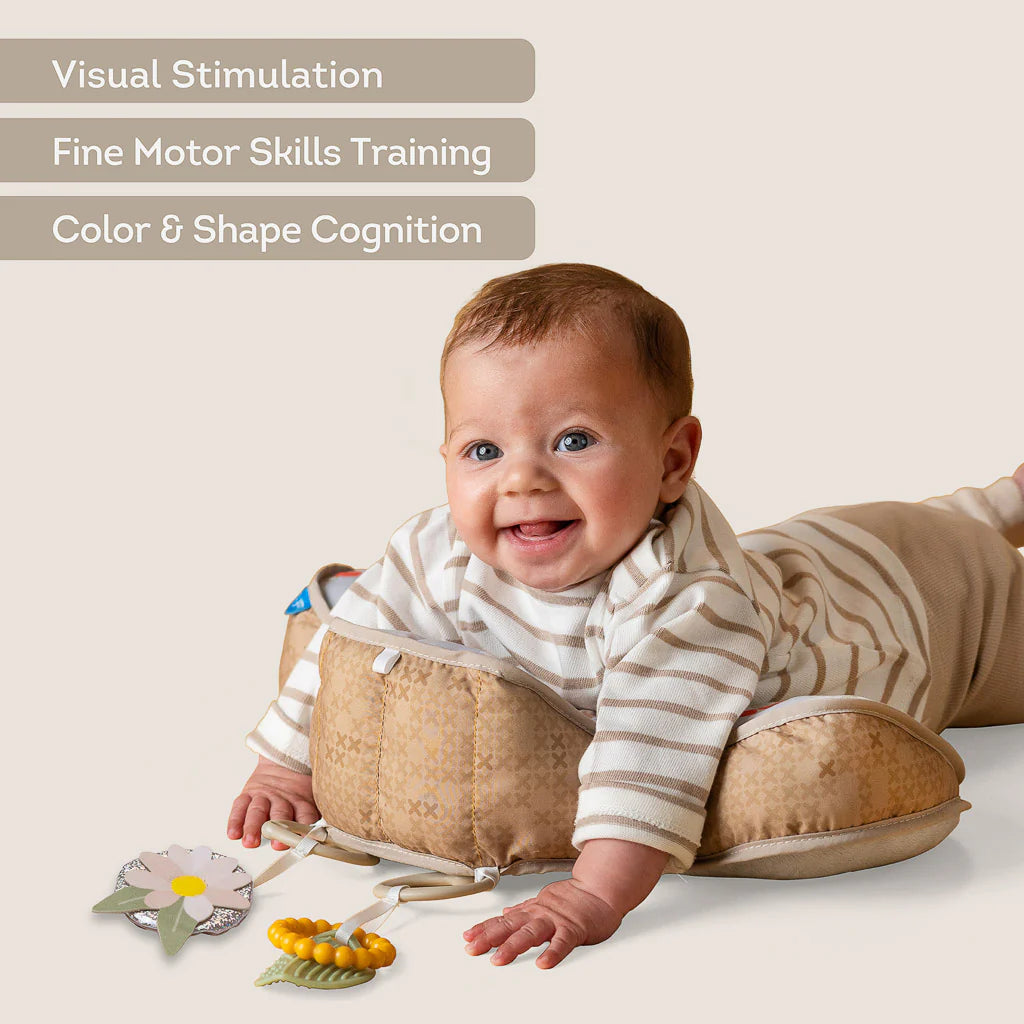 Taf Toys Bear Tummy Time Pillow