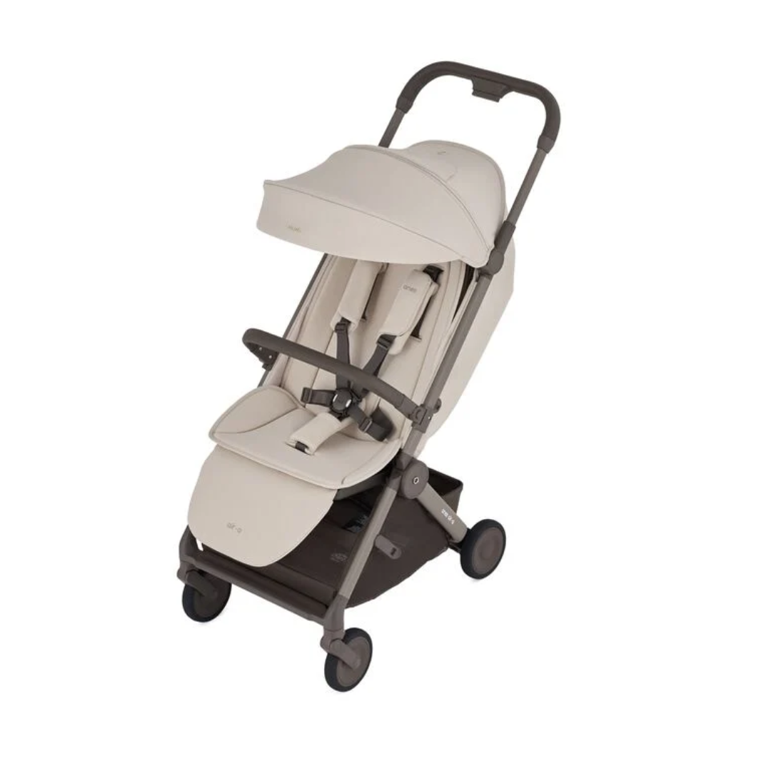 Anex Air-Q Lightweight Cabin Size Buggy