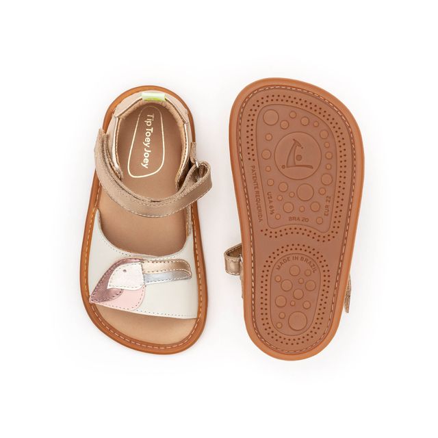 Tip Toey Joey Toucan