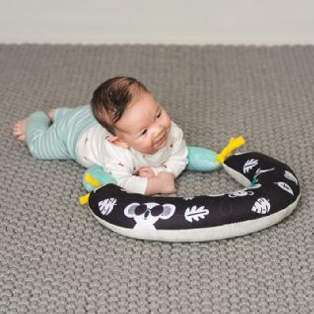 Taf Toys 2 in 1 Tummy Time Pillow