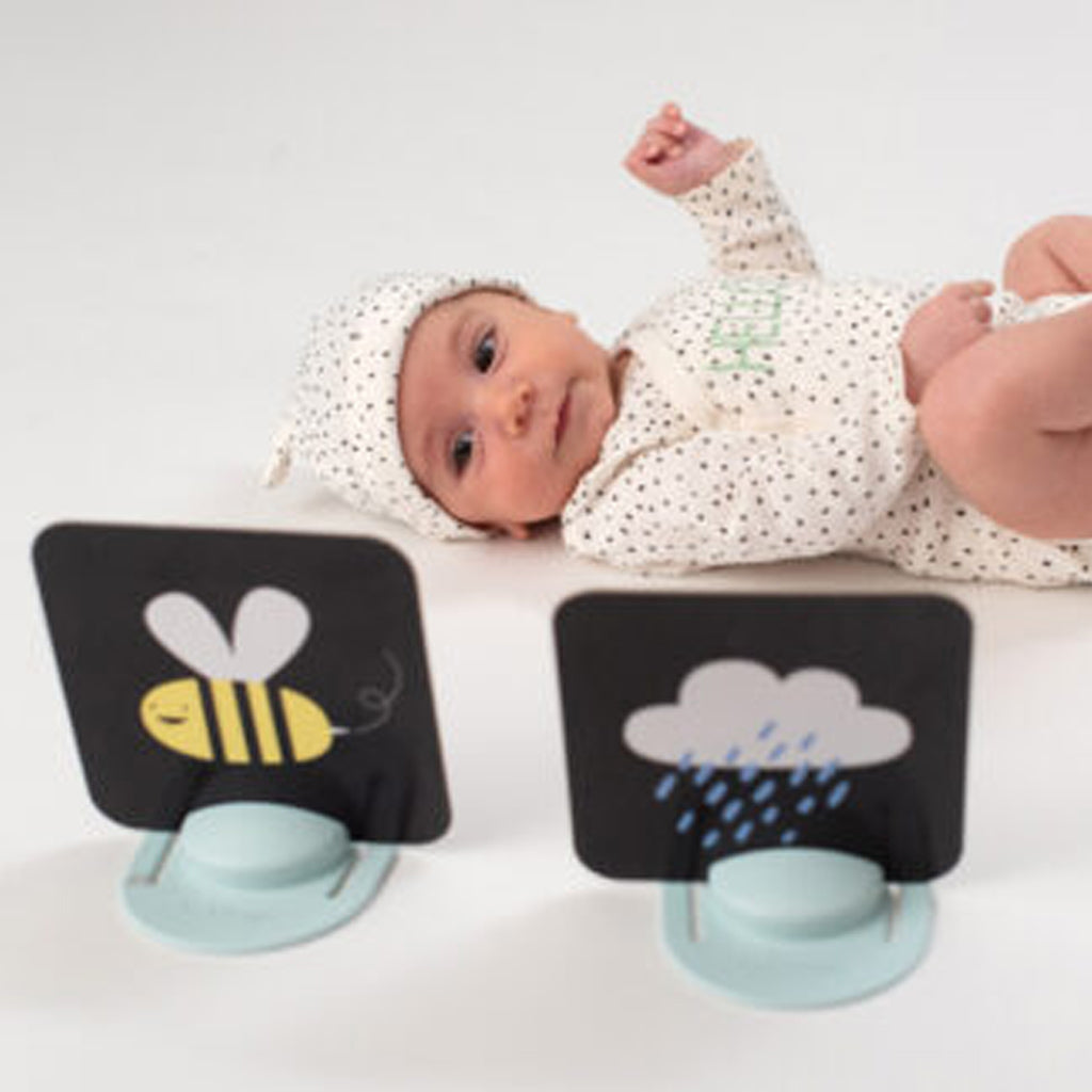 Taf Toys My 1st Tummy-time Cards