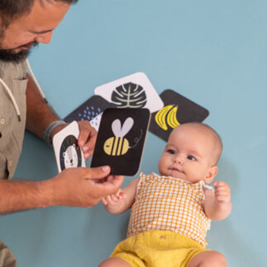 Taf Toys My 1st Tummy-time Cards