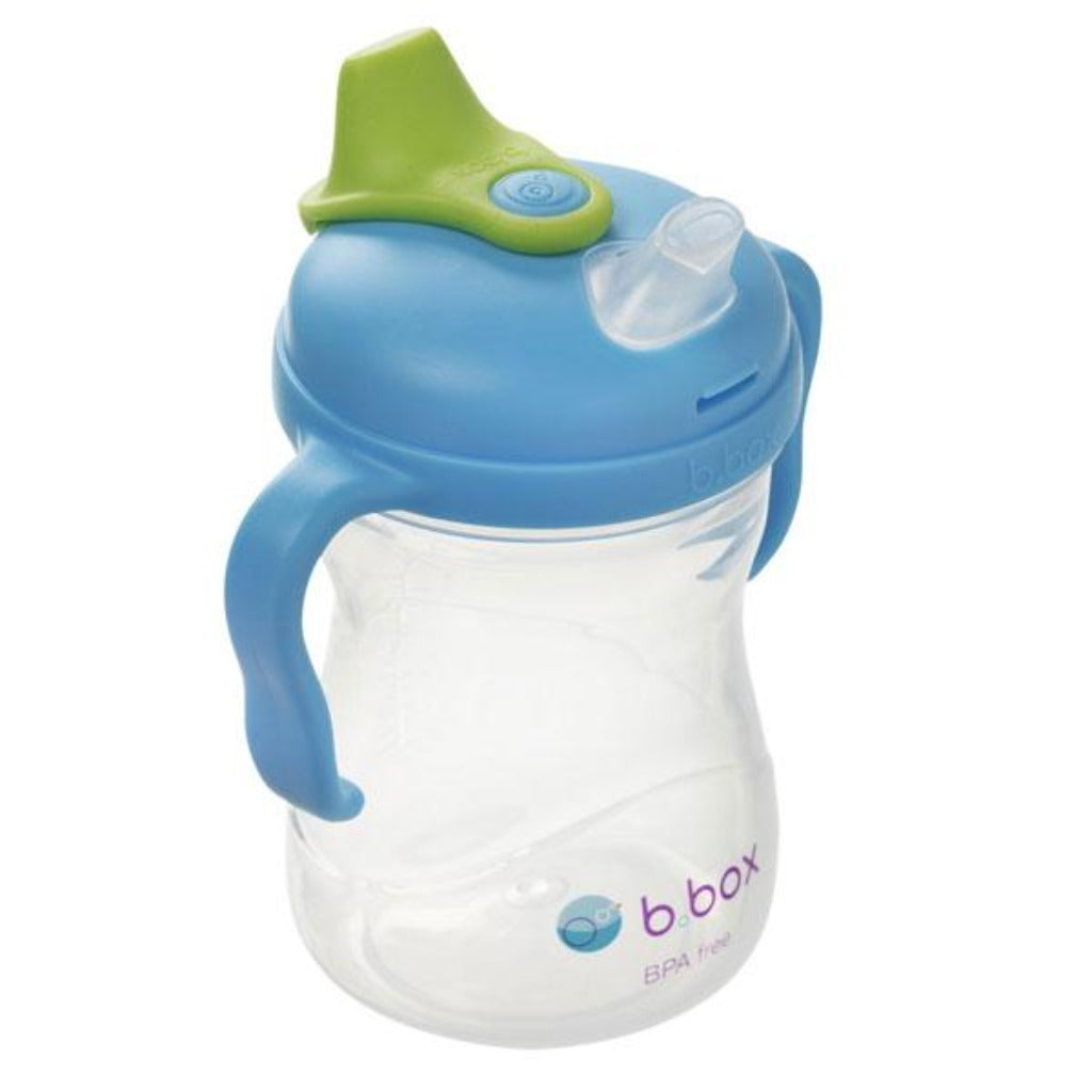 B.Box Spout Cup