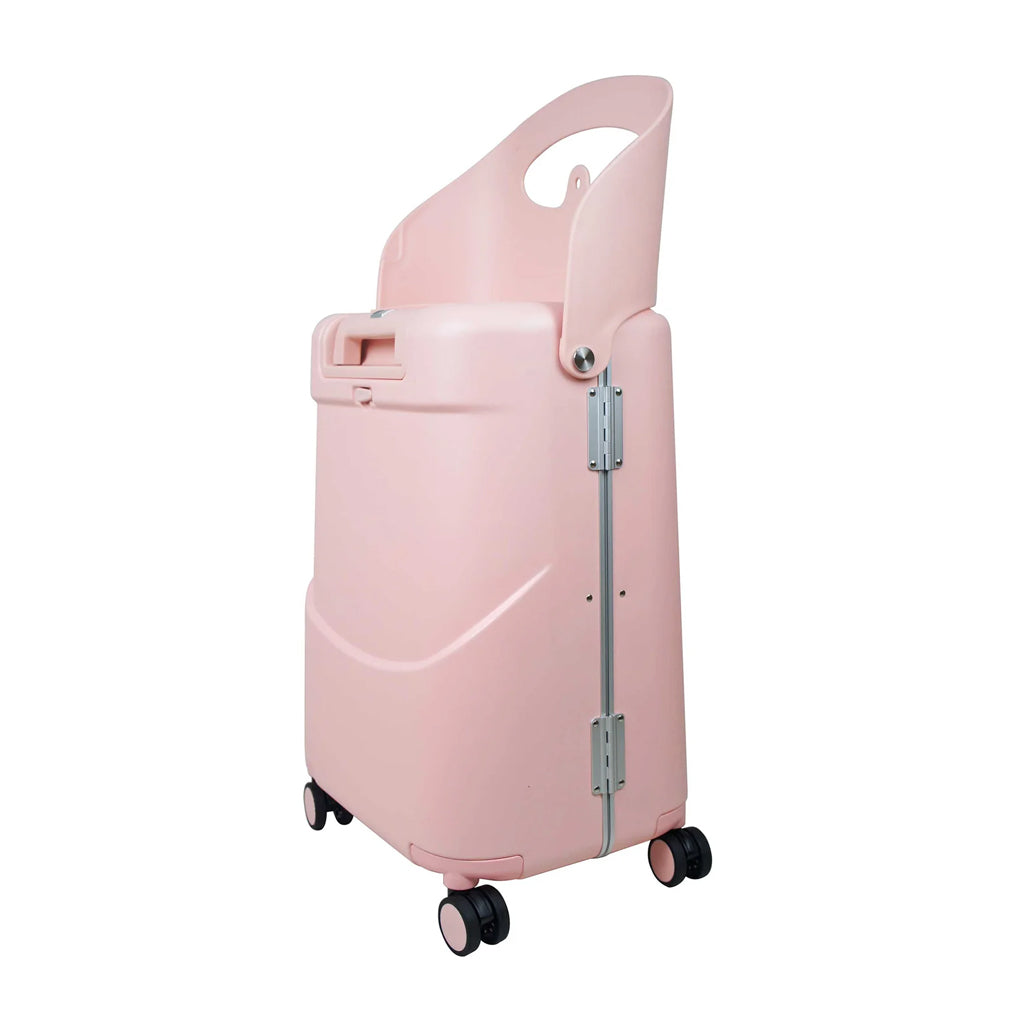 Miamily 20" Multi-Carry Luggage